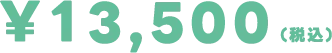 ¥13,500(税込)