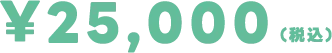 ¥25,000(税込)